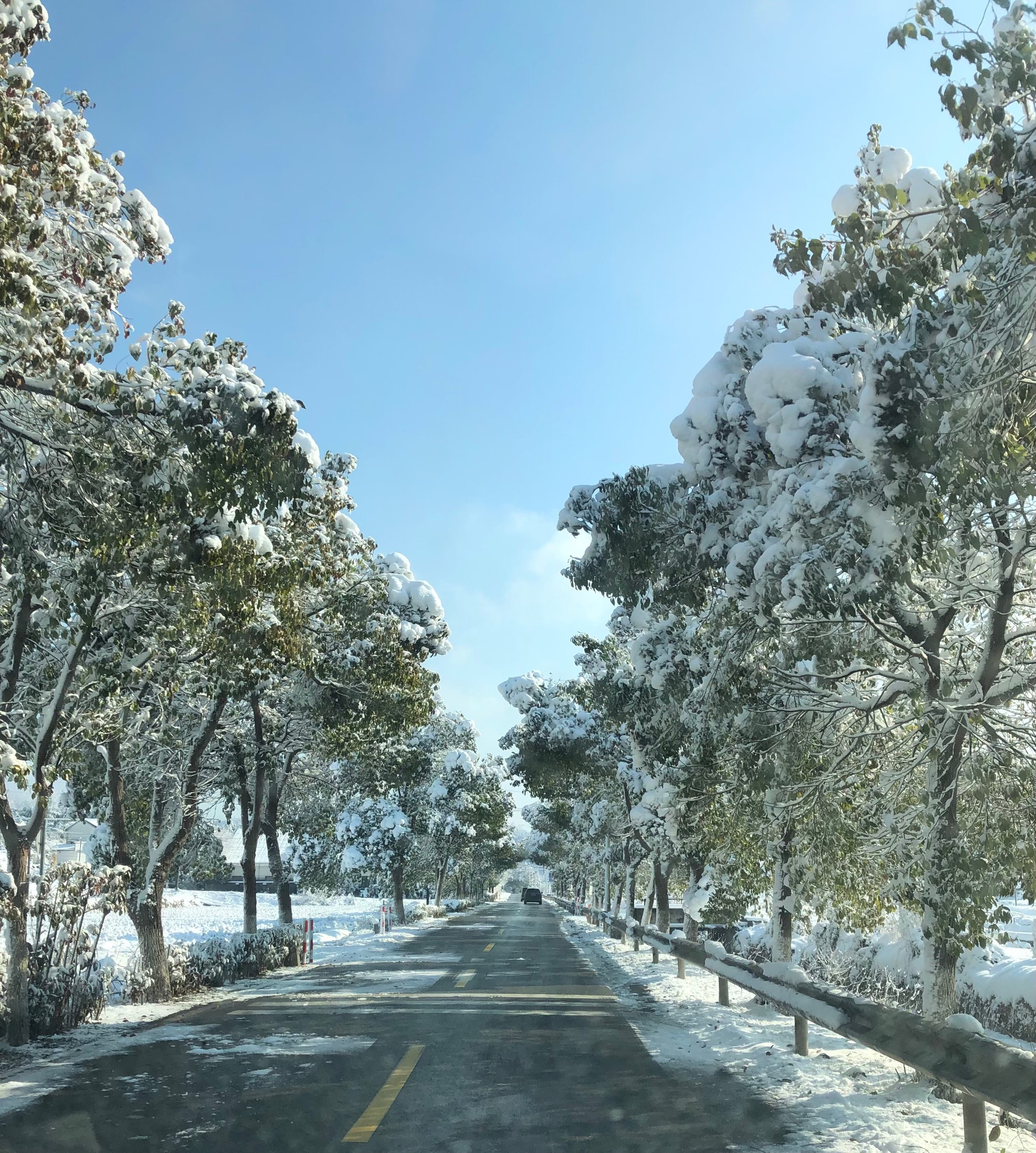 湖南长沙雪景图片