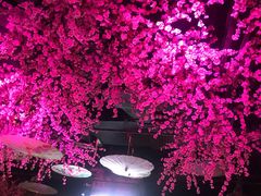 大堂-韵秋荷(宝山龙湖天街店)