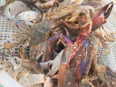 -大锅强·蒸海鲜青岛菜(吾悦广场店)