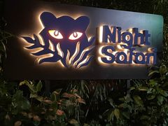 -夜间野生动物园