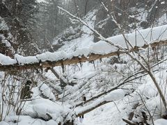 -峡谷浮石林景区