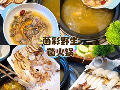 -菌彩云南野生菌火锅(呈贡七彩云南第壹城店)