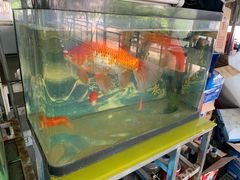 -光头佬钓虾场·烧烤·聚餐·亲子(金沙洲店)