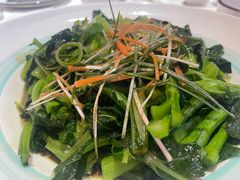 清炒菜心-渔民船说·北塘海鲜·天津菜·海肠捞饭(北塘古镇店)