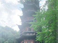 -上海佘山国家森林公园西佘山园