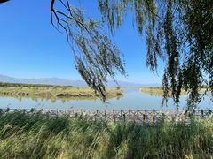 -野鸭湖国家湿地公园