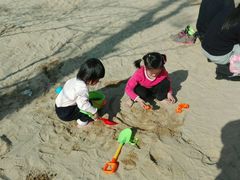 -瑶湖郊野森林公园