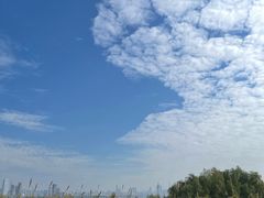 -深圳湾公园(南山区)