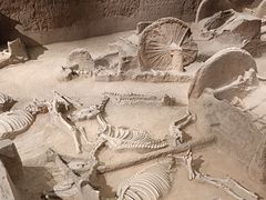 -洛阳周王城天子驾六博物馆