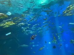 -福州罗源湾海洋世界旅游区