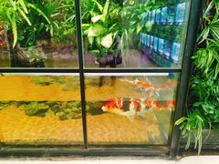 店内环境-凯德广场(学府店)