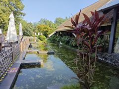 -老房子金沙元年川菜食府·花园餐厅(金沙店)