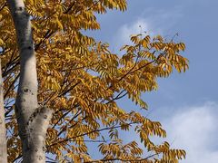 -杭州城北体育公园