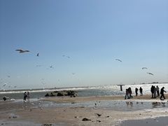 -老虎石海上公园