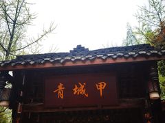 门面-青城甲(青城山店)