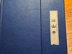 -Mountain House East Village 川山甲