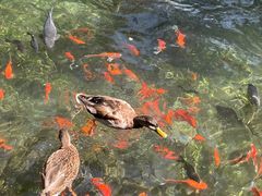 -水磨沟公园