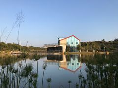 -东莞植物园