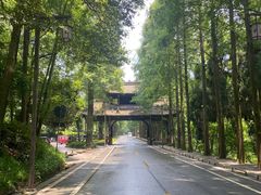 -青城山