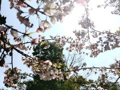 -堤角公园