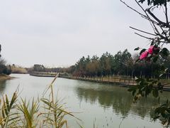 -艾溪湖湿地公园