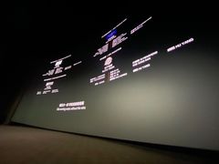 -天幕新彩云国际影城(激光巨幕店)