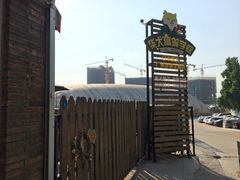 -柴犬高等学院·狗咖·柴犬售卖·宠物训练