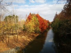 -上海长兴岛郊野公园