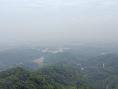 -大屏嶂森林公园