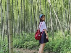 -玉苍山国家森林公园