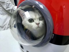 -美联众合动物医院·24h转诊中心