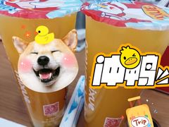 -蜜雪冰城(成华王府井Discovery店)