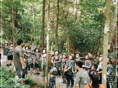 -铁山坪森林公园