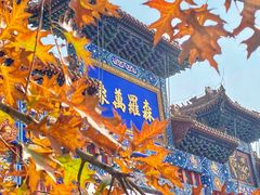 -北京西山国家森林公园