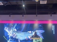 -老板恋上鱼(高新万达店)