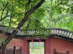 -阳台山自然风景区