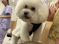 -瑞派康怡24h宠物医院·犬猫医疗中心·微创绝育(瑞景分院)