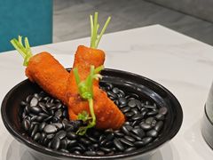 -丁老爷子苏香圆