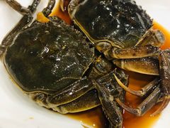 -红灯笼龙凤饭店(宁波老字号店)