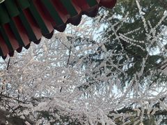 -西安市广仁寺