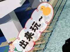 -奥林匹克体育中心游泳跳水中心