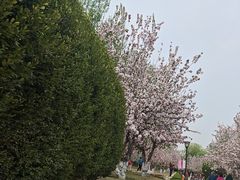-元大都城垣遗址公园