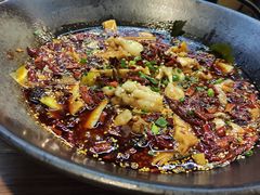 -靓蛙馆