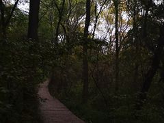 -大青沟风景区