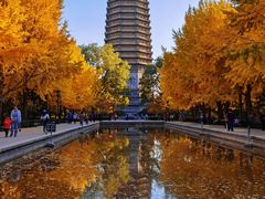 -玲珑塔公园
