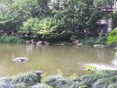 -新湖明珠城