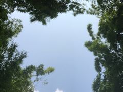-长谷洞天