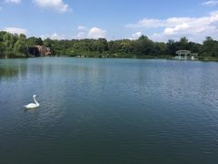 景点-沈阳植物园