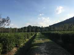 -九龙潭景区