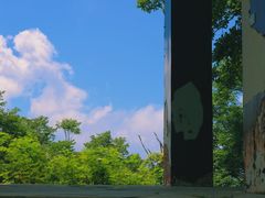 -少华山国家森林公园